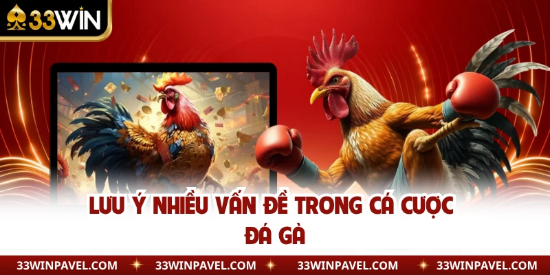 Lưu ý nhiều vấn đề trong cá cược đá gà  
