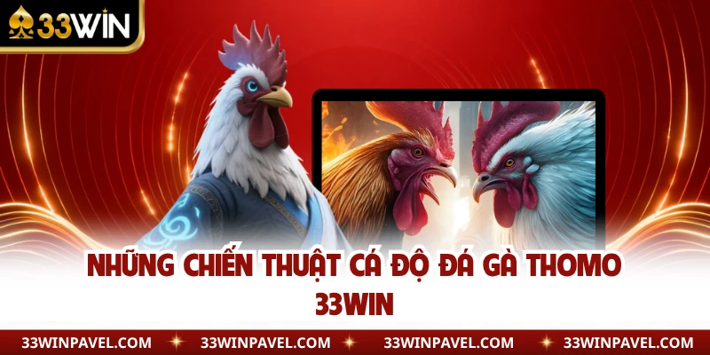 Những chiến thuật cá độ đá gà Thomo 33WIN