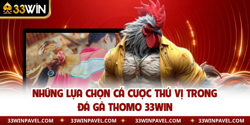 Những lựa chọn cá cược thú vị trong đá gà Thomo 33WIN